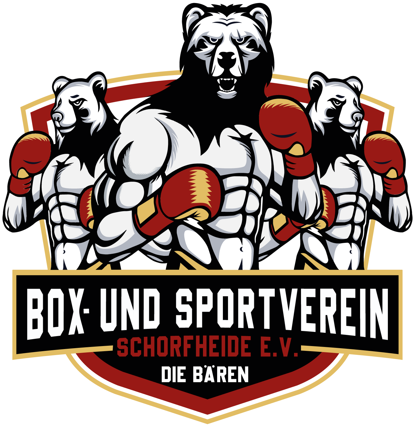 Baeren-Boxclub-Eberswalde Kopie